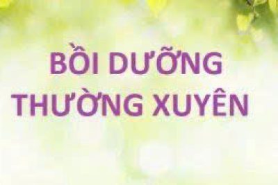 HƯỚNG DẪN SỬ DỤNG HỆ THỐNG BỒI DƯỠNG THƯỜNG XUYÊN DÀNH CHO HỌC